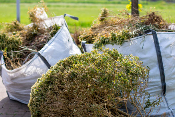 Best Electronics Removal Services  in Roberta, GA
